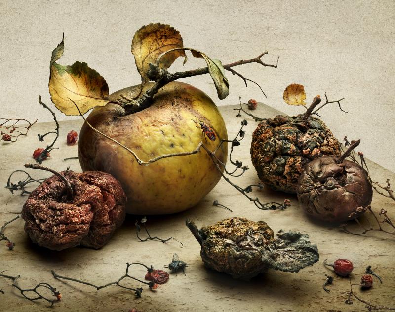 Peter Lippmann