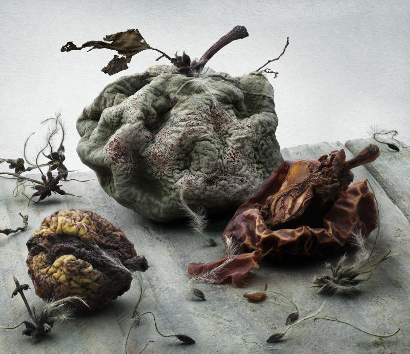 Peter Lippmann